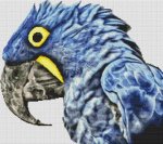 (image for) Blue Parrot 2